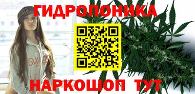 соль курить ск Аргун